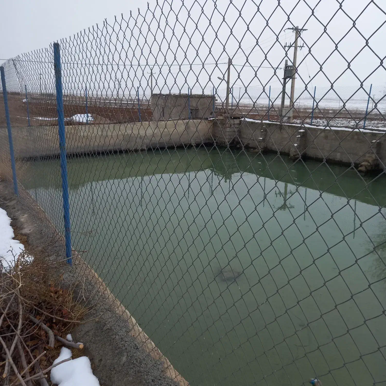 زمین کشاورزی باغی|فروش دفتر صنعتی، کشاورزی، تجاری|داران, |دیوار