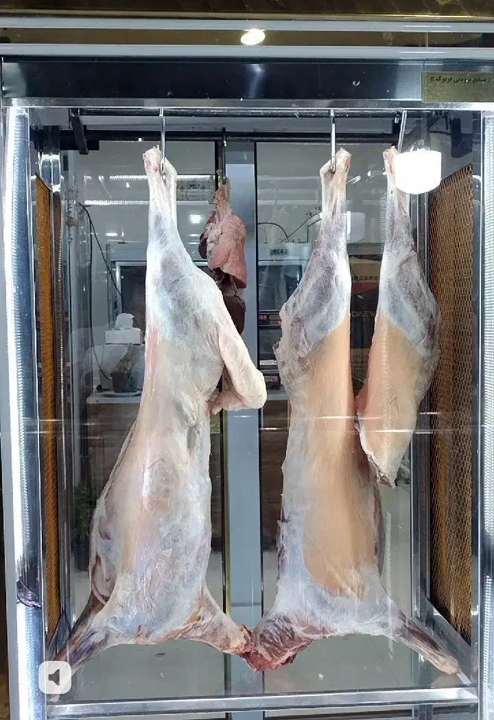 گوشت گوساله و بره|خوردنی و آشامیدنی|بجنورد, |دیوار