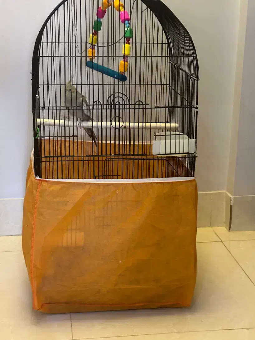 عروس هلندی دستی|پرنده|قم, پردیسان|دیوار