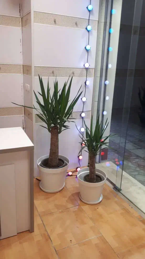 سلمان فارسی- اجاره مغازه 72 متر-تابلو تبلیغات-دکور|اجارهٔ مغازه و غرفه|ساری, |دیوار