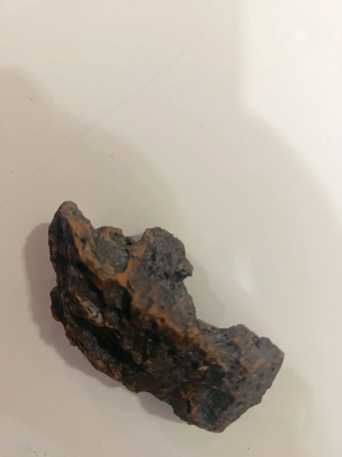 شهاب سنگ|کلکسیون اشیاء عتیقه|زاهدان, |دیوار