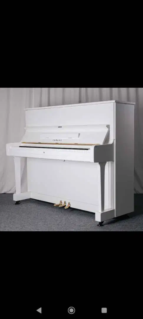 پیانو/ رولند|پیانو، کیبورد، آکاردئون|شیراز, سینما سعدی|دیوار