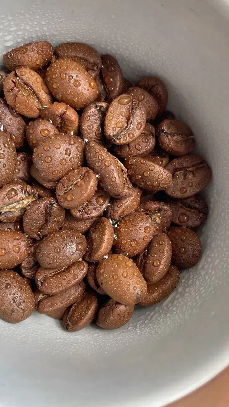 انواع دان قهوه|عمده‌فروشی|میانه, |دیوار