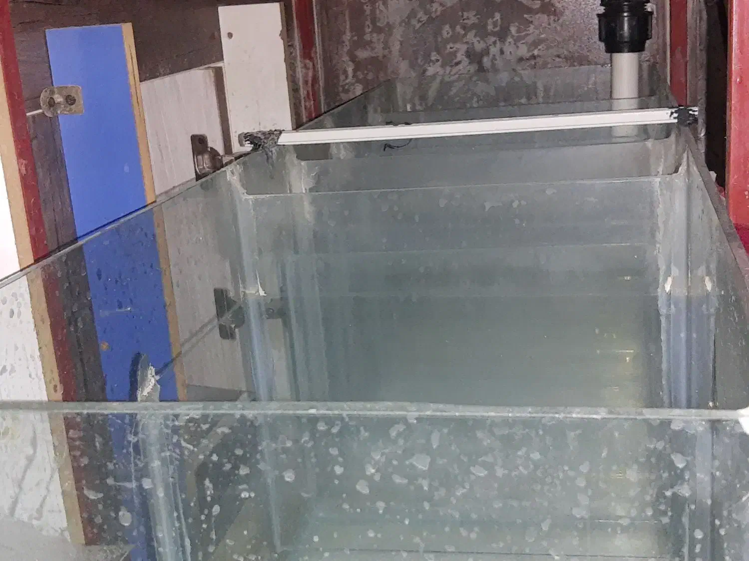 اکواریوم|ماهی|زاهدان, |دیوار