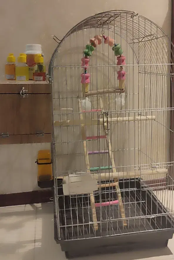 فروش قفس و لوازم کامل پرنده|لوازم جانبی حیوانات|قدس, شهر‌قدس|دیوار