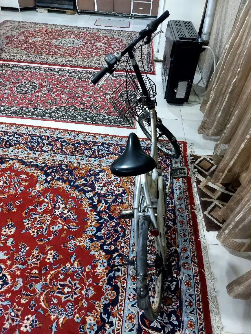 دوچرخه برقی ژاپنی تاشو مارک پاناسونیک.|دوچرخه، اسکیت، اسکوتر|اصفهان, برازنده|دیوار