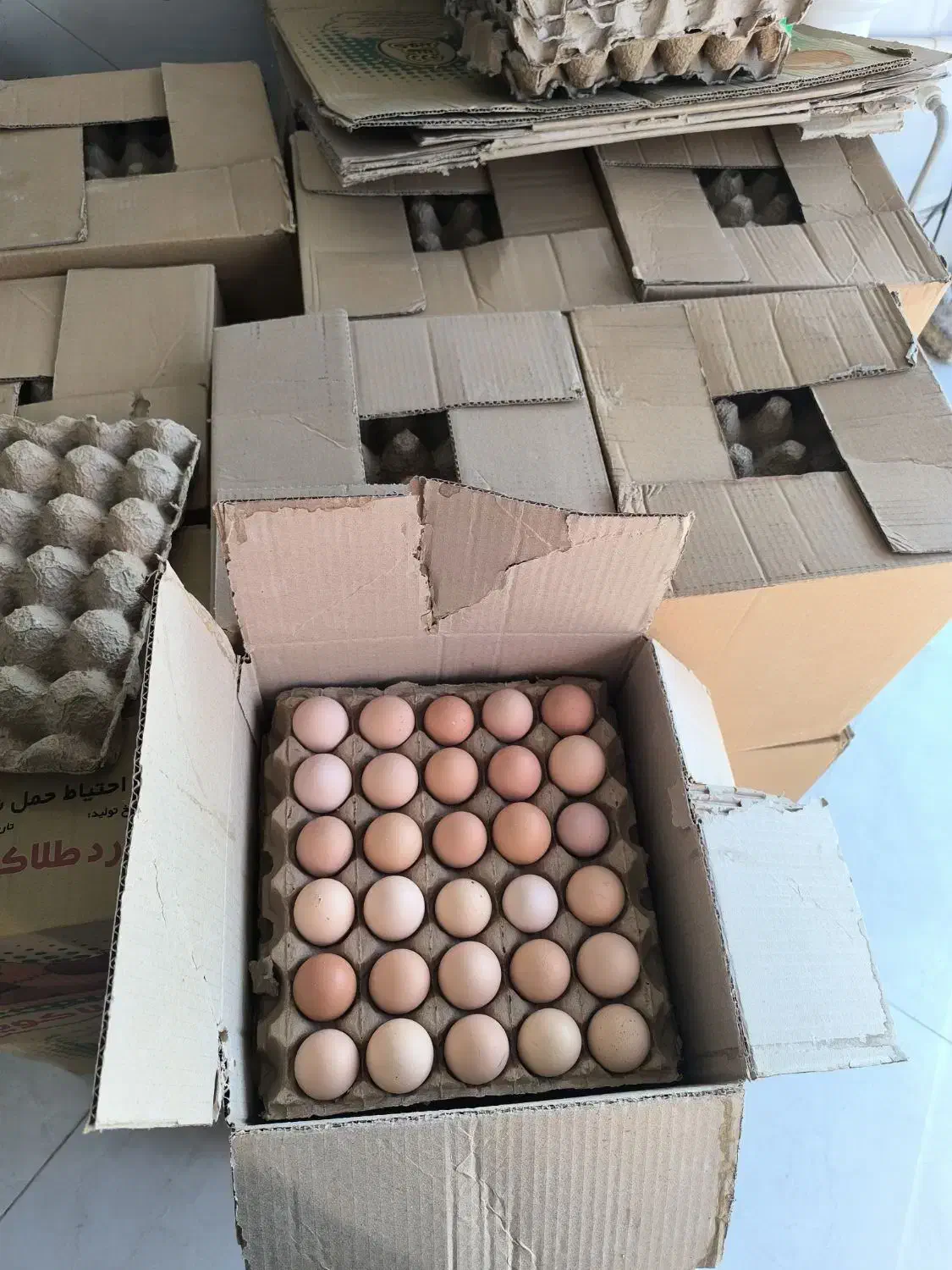 تخم مرغ محلی گلپایکانی|خوردنی و آشامیدنی|ورامین, ورامین|دیوار