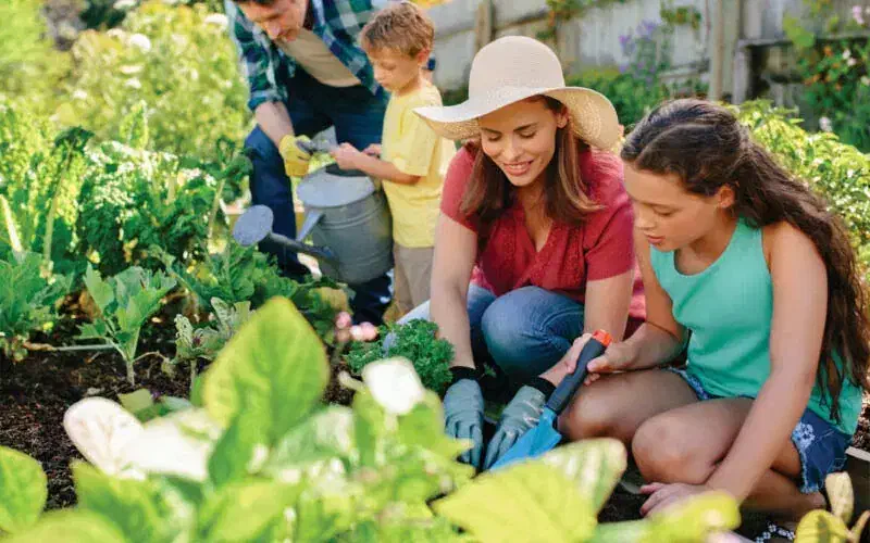 هیومیک گرانول کود|عمده‌فروشی|دزفول, |دیوار