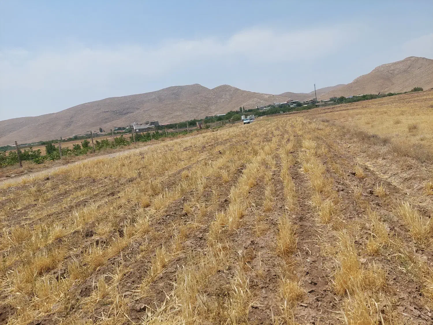 ۱۵۰۰ متر زمین کنار روستا.مناسب برای سرمایه گذاری|فروش زمین و ملک کلنگی|قم, علی آباد سعدگان|دیوار