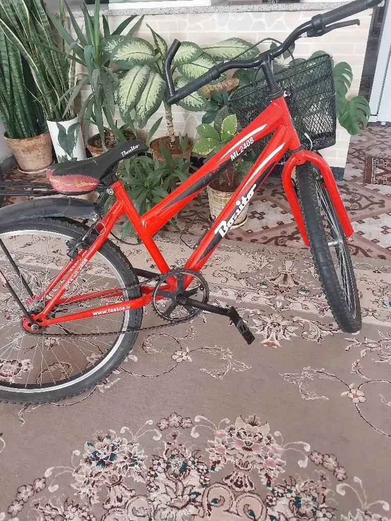 فروش دوچرخه|دوچرخه، اسکیت، اسکوتر|شیراز, ریاستی|دیوار