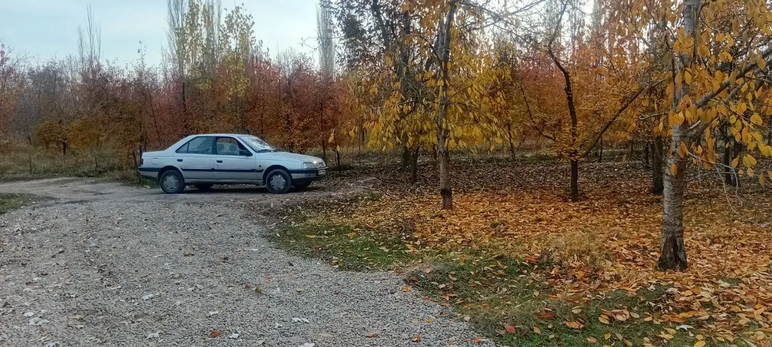 باغ گیلاس تکدانه تپه باشی|فروش زمین و ملک کلنگی|فیرورق, |دیوار