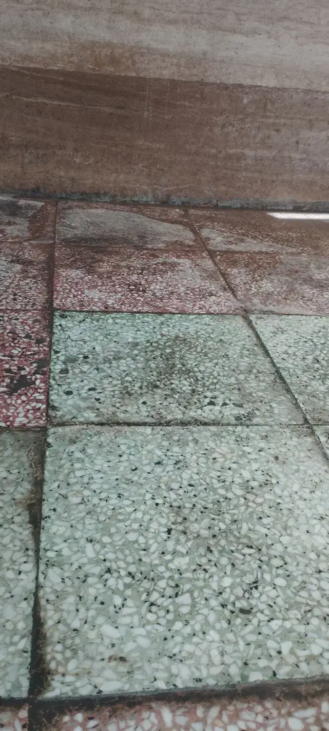 لایه بردار پالیش کفساب سنگ ساب کف سابی|خدمات نظافت|بندر کنگان, |دیوار