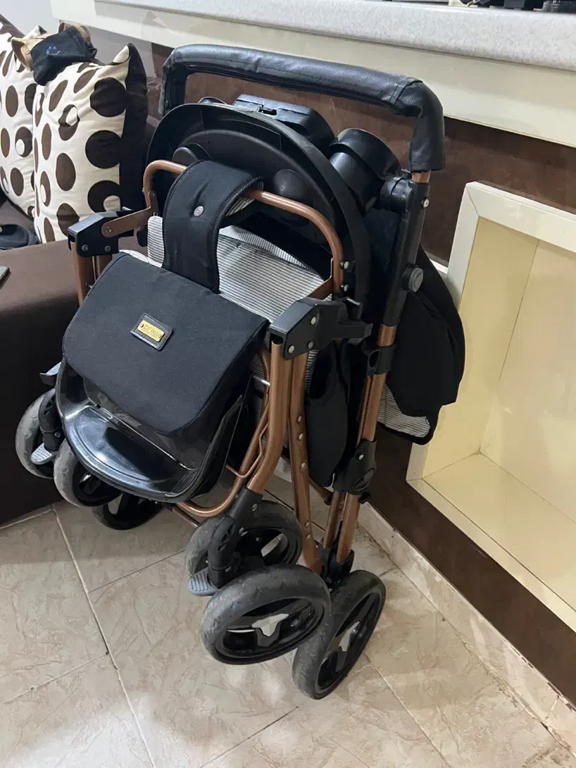 کالسکه دلیجان  درحد|کالسکه و لوازم جانبی|بندرعباس, |دیوار