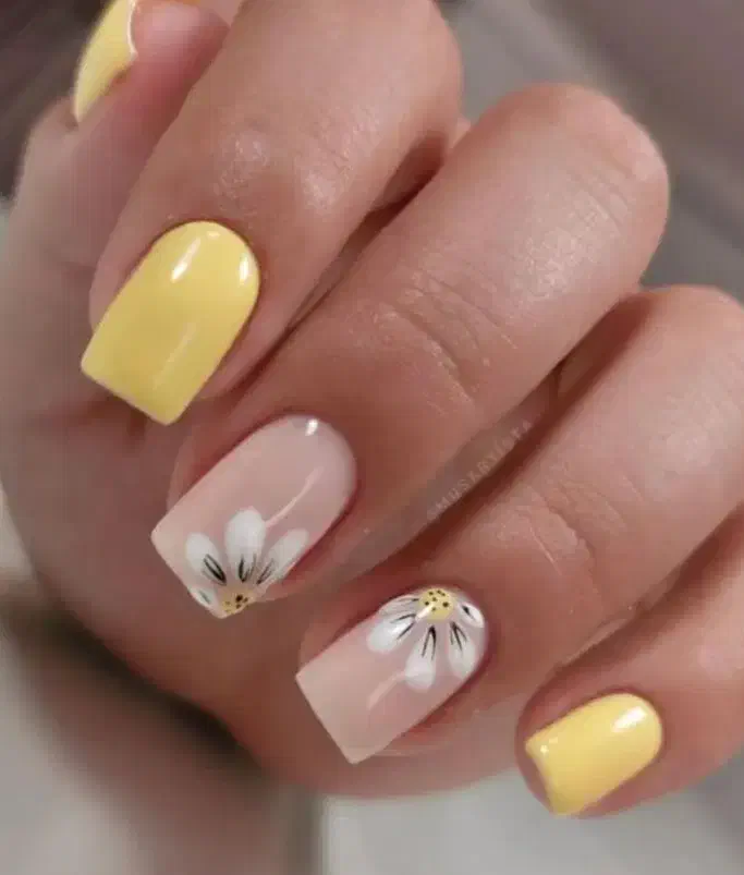 آموزش تخصصی کاشت ناخن با مدرک فنی حرفهای|خدمات آموزشی|کردکوی, |دیوار