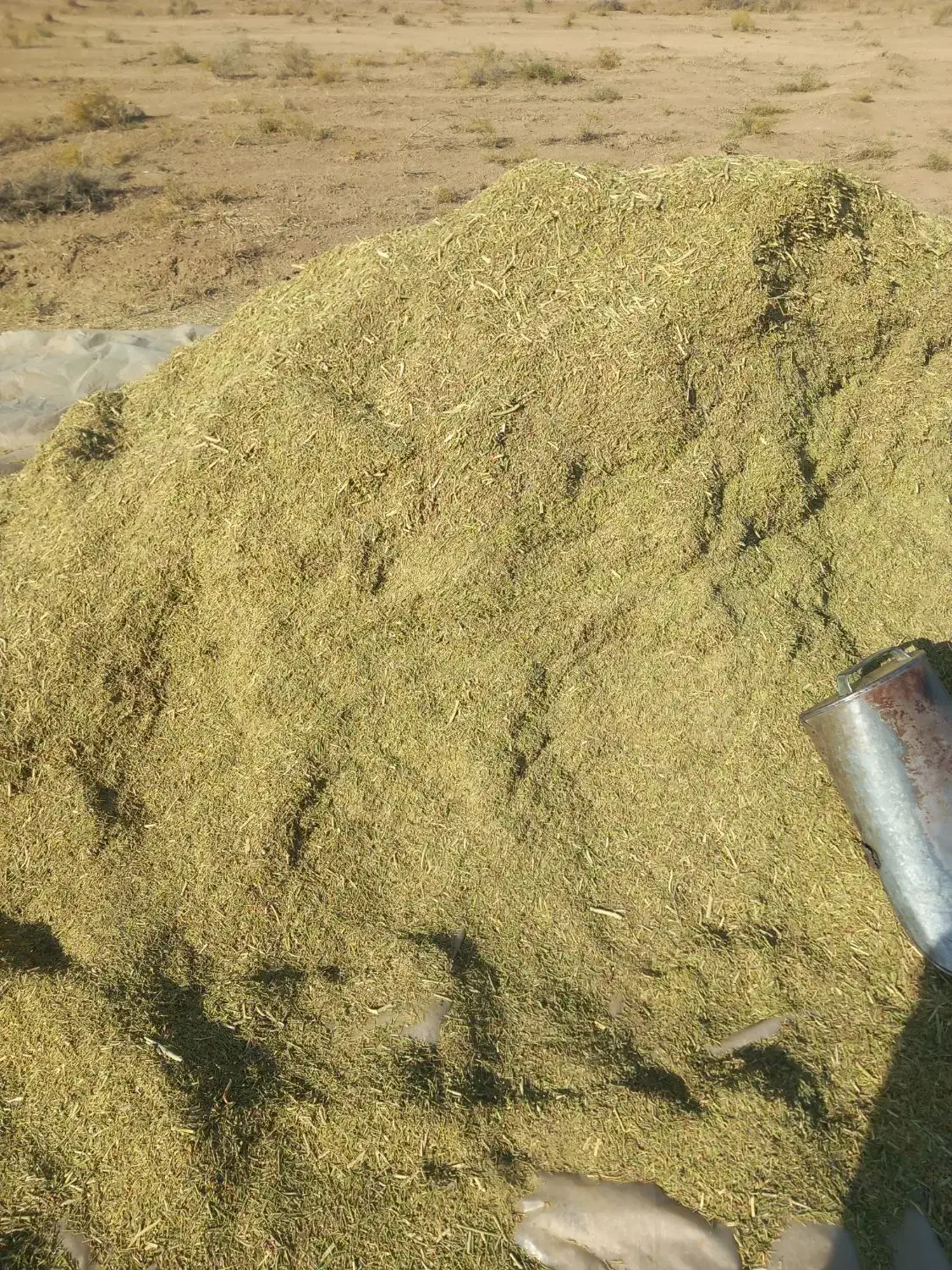 کاه خار شتری|خدمات باغبانی و درختکاری|قوچان, |دیوار