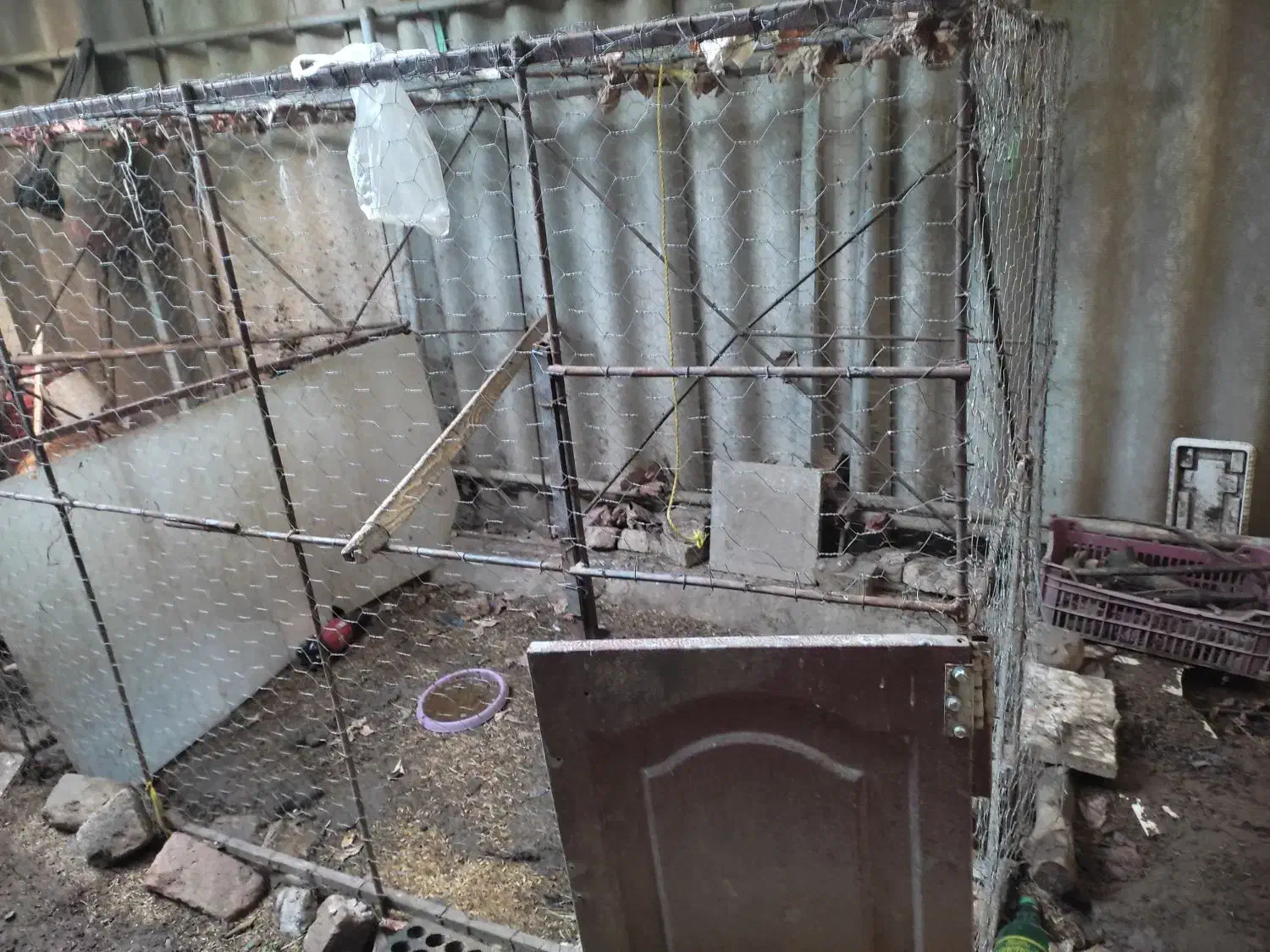 قفس مرغ|لوازم جانبی حیوانات|علیآباد کتول, |دیوار