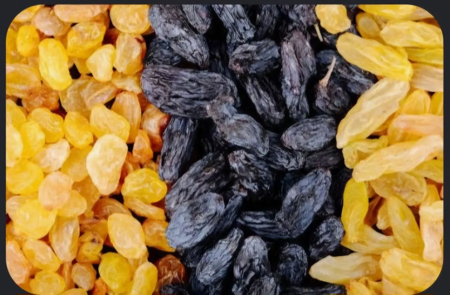 خشک بار خونگی|خوردنی و آشامیدنی|تهران, قیطریه|دیوار