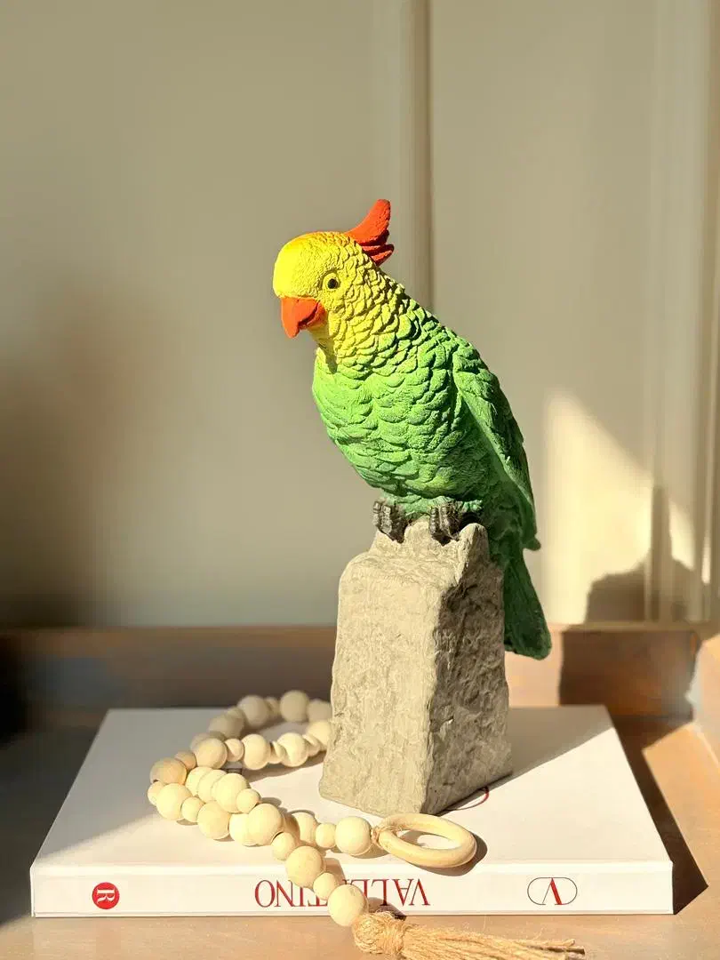 دکوری طوطی جذاب|مجسمه، تندیس، ماکت|ری, دولت‌آباد|دیوار