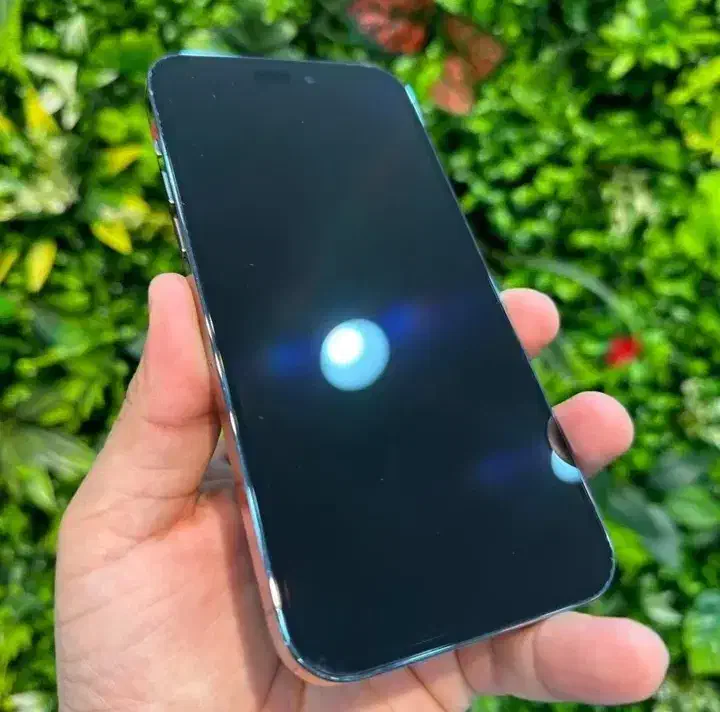 اپل iphone 14 Pro Max با حافظهٔ ۲۵۶ گیگابایت|موبایل|رشت, چمارسرا|دیوار
