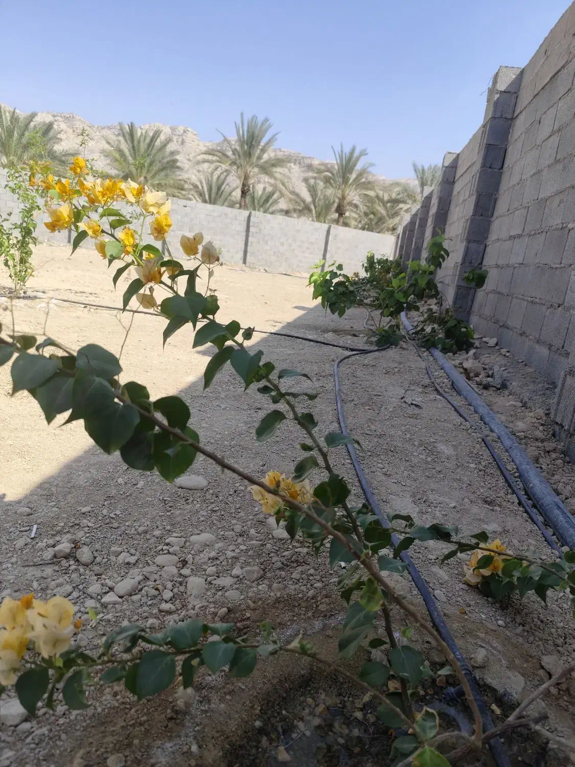 فروش زمین|فروش زمین و ملک کلنگی|جم, |دیوار