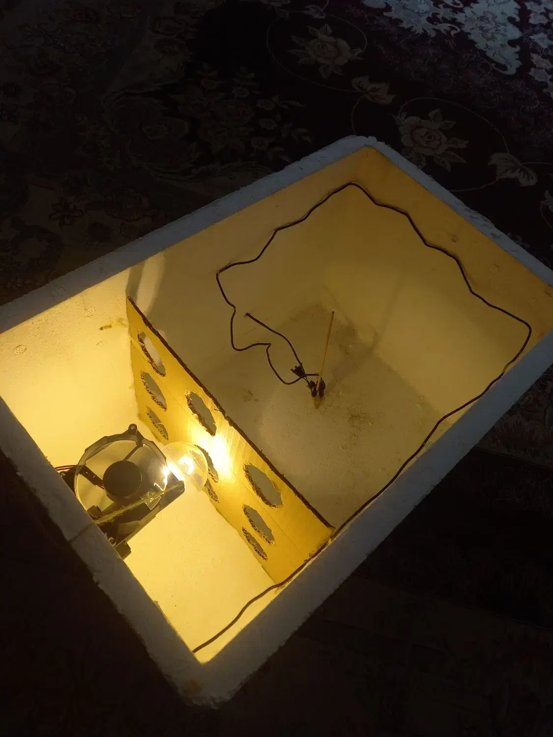 گاز دستگاه جوجه کشی به همراه جوجه|اجاق گاز و لوازم برقی پختوپز|کاشان, باهنر|دیوار