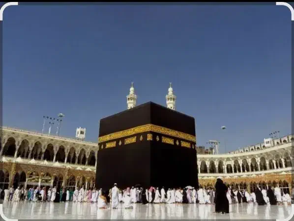 فیش مکه واجب|تور و چارتر|گنبد کاووس, |دیوار