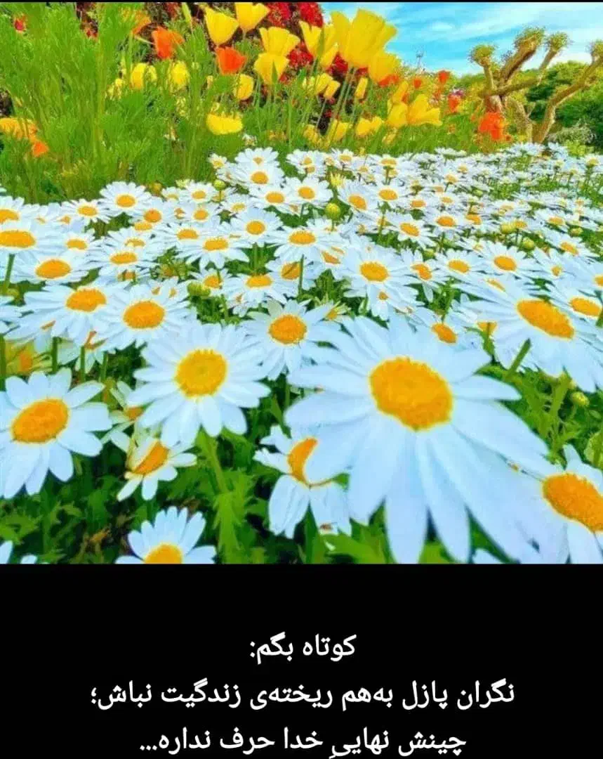 برگزاری مراسم ترحیم وروضه توسط خانم|خدمات پذیرایی، مراسم|گرگان, |دیوار
