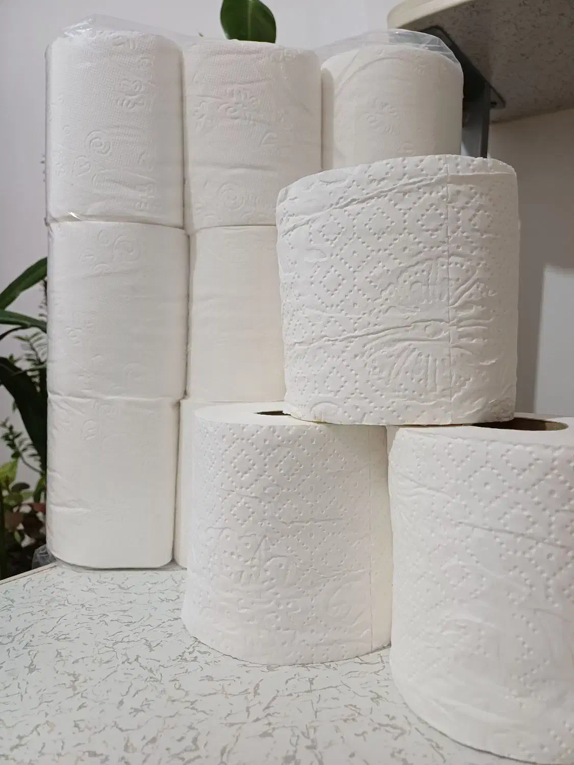 دستمال کاغذی|مواد شوینده و دستمال کاغذی|بوشهر, |دیوار