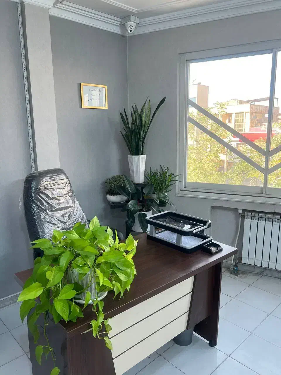 اجاره دفتر کار دفتر وکالت|اجارهٔ دفتر کار، اتاق اداری، مطب|قم, باغ شازده|دیوار