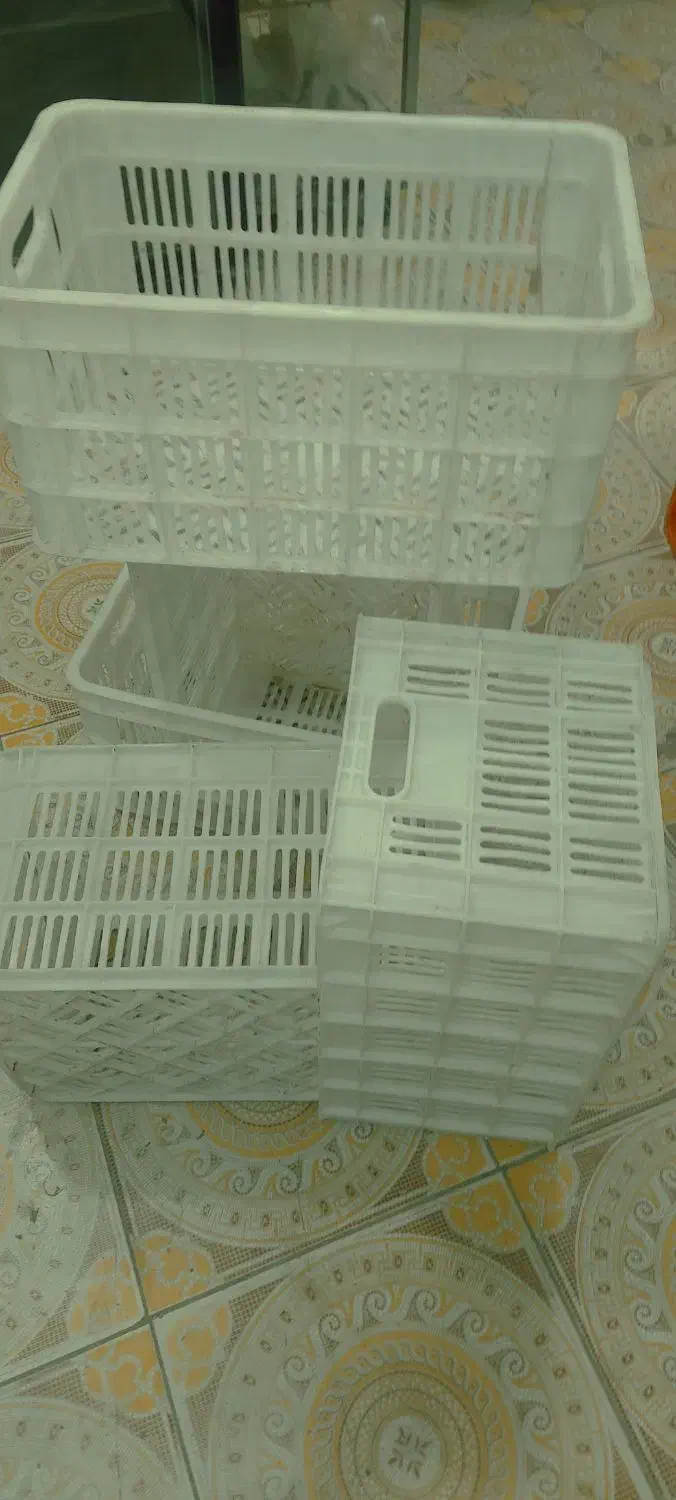 سبد پلاستیکی|فروشگاه و مغازه|خاش, |دیوار