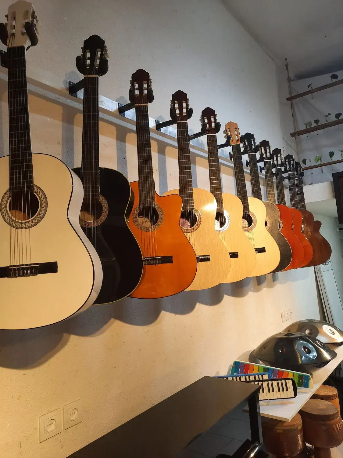 گیتار کارکرده|گیتار، بیس، امپلیفایر|مینودشت, |دیوار