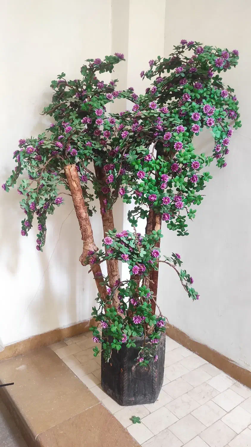 درختچه مصنوعی و طبیعی|گل مصنوعی|شیراز, آزادگان|دیوار