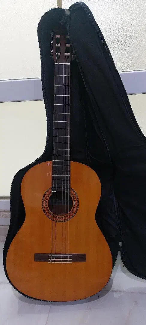 گیتار|گیتار، بیس، امپلیفایر|دزفول, |دیوار