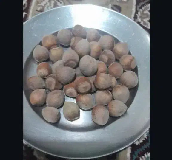 فندق تازه طارم|خوردنی و آشامیدنی|کرج, آق تپه|دیوار