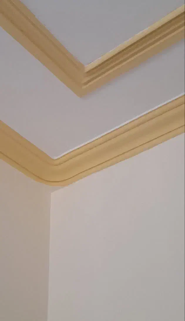 رنگ آمیزی و نقاشی ساختمان حقیقت|خدمات پیشه و مهارت|رفسنجان, |دیوار