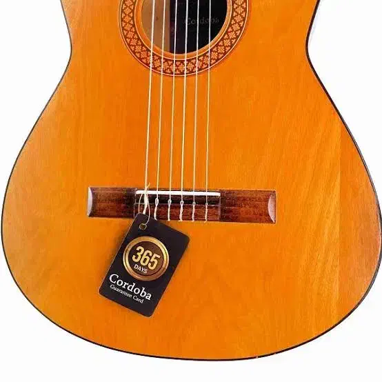 گیتار کوردوبا|گیتار، بیس، امپلیفایر|نظرآباد, نظرآباد|دیوار