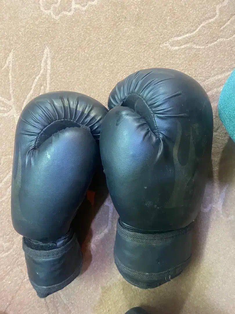 دستکش بوکس|تجهیزات ورزشی|شوشتر, |دیوار