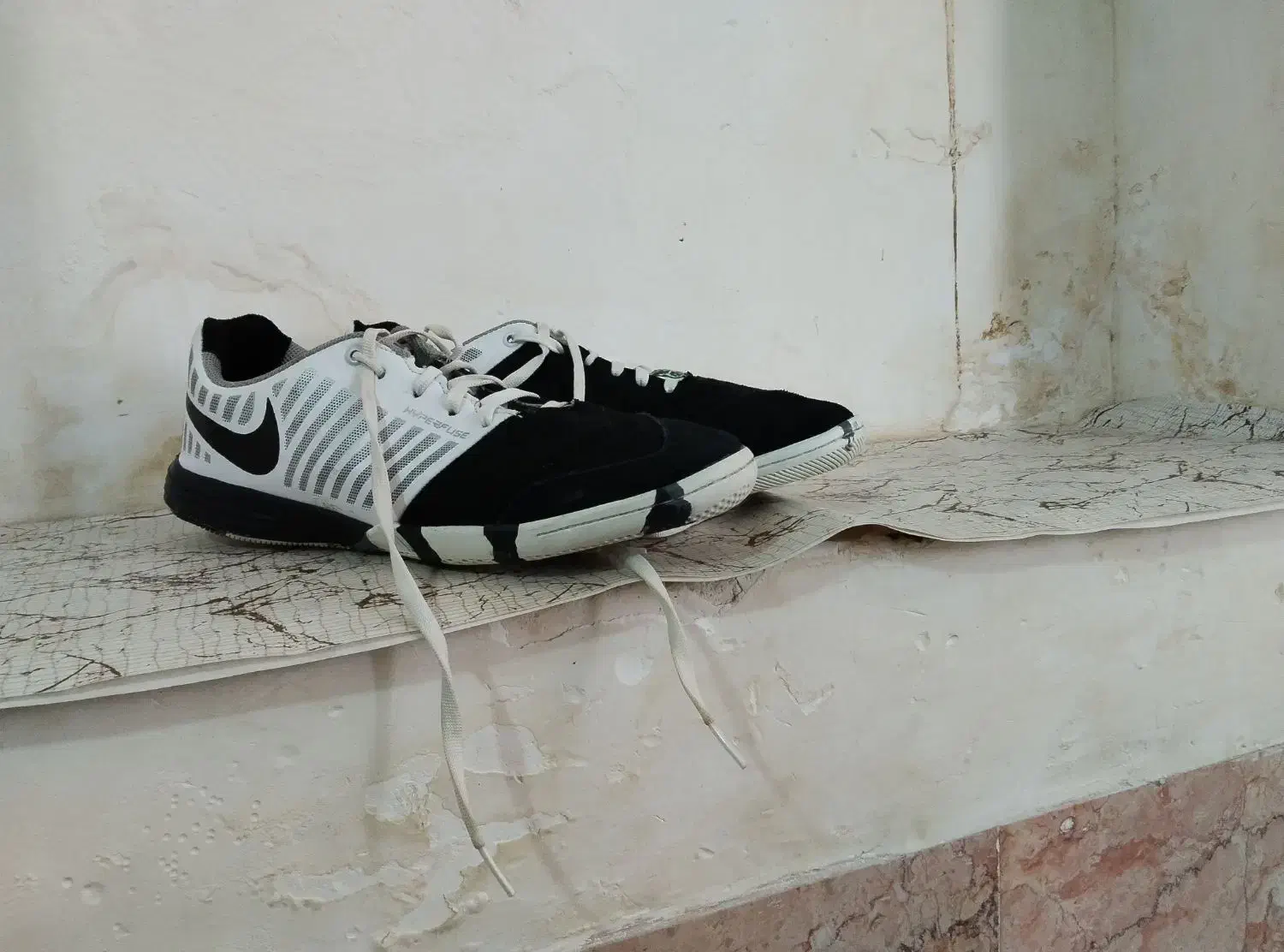 کفش فوتسال لونارگتو|کیف، کفش، کمربند|تربت جام, جامی|دیوار