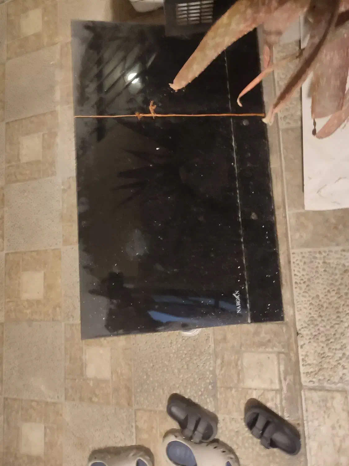 هود|هود|تهران, شوش (باغ آذری)|دیوار