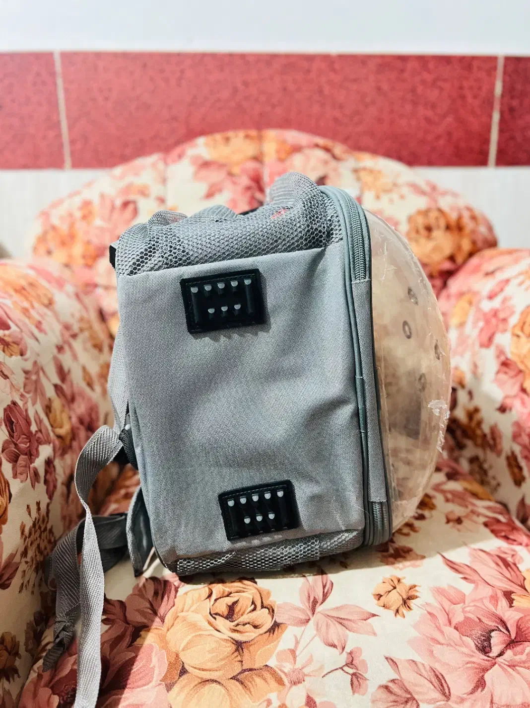 کیف حمل سگ و گربه،خرگوش،پرنده|لوازم جانبی حیوانات|باقرشهر, |دیوار