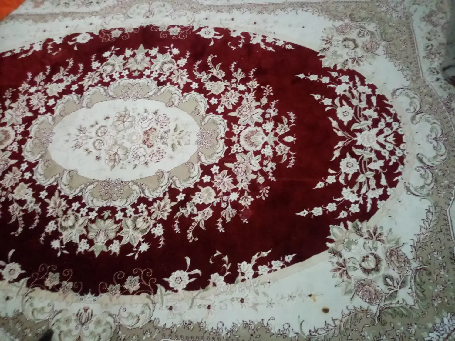 قالی فروشی|فرش|رفسنجان, |دیوار