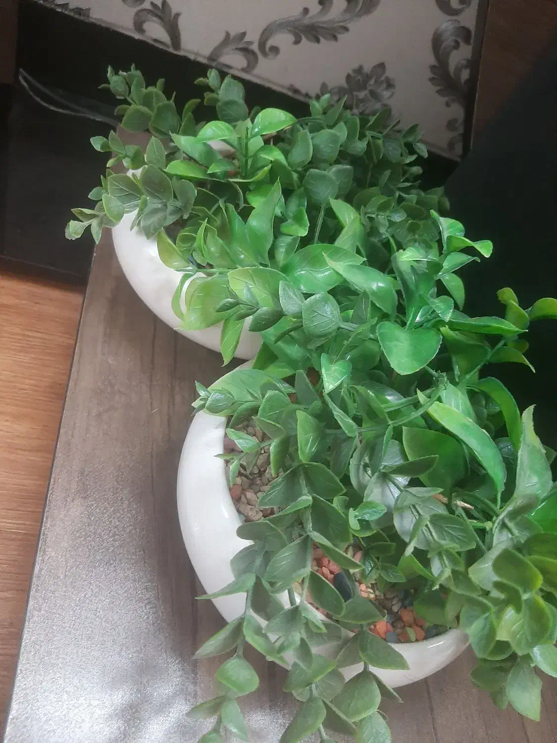 دو عدد گل و گلدان|گل مصنوعی|قم, پردیسان|دیوار