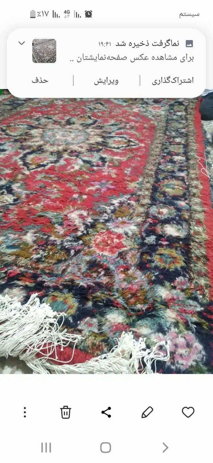 فرش هریس سالاری|فرش|سهند, |دیوار