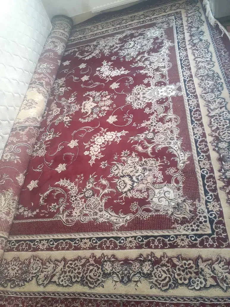 فرش ۱۲متری|فرش|هشتگرد, شهرک ریحانه|دیوار