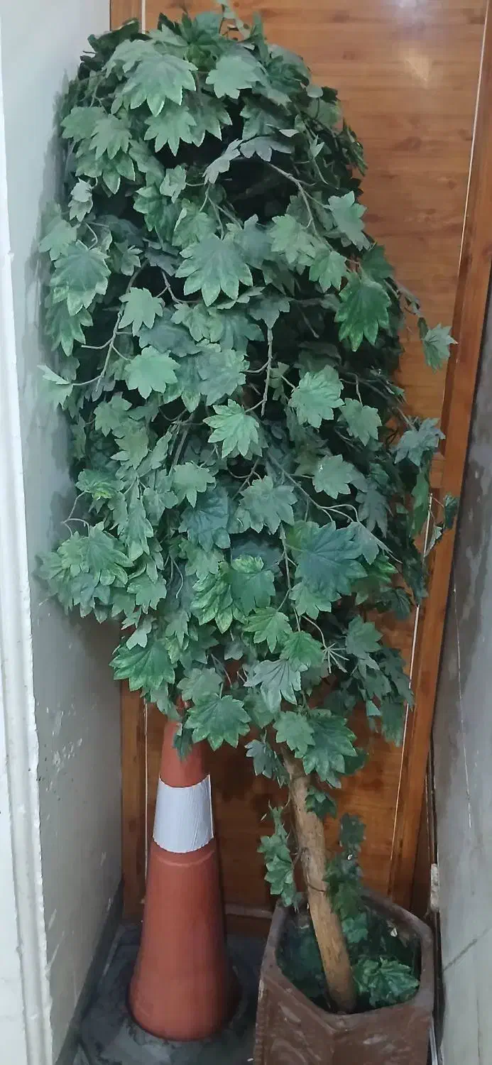 درخت چه|گل مصنوعی|اهواز, حصیرآباد|دیوار