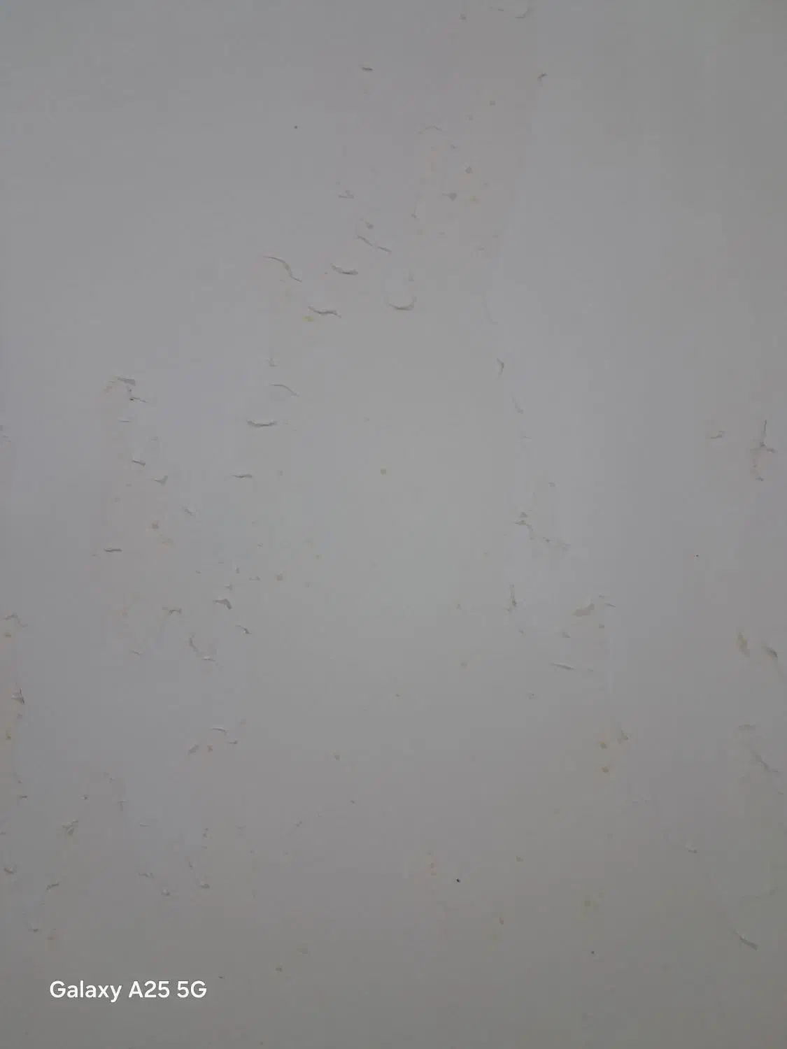 فروش اپارتمان تک واحدی طبقه پنج|فروش آپارتمان|ساری, |دیوار