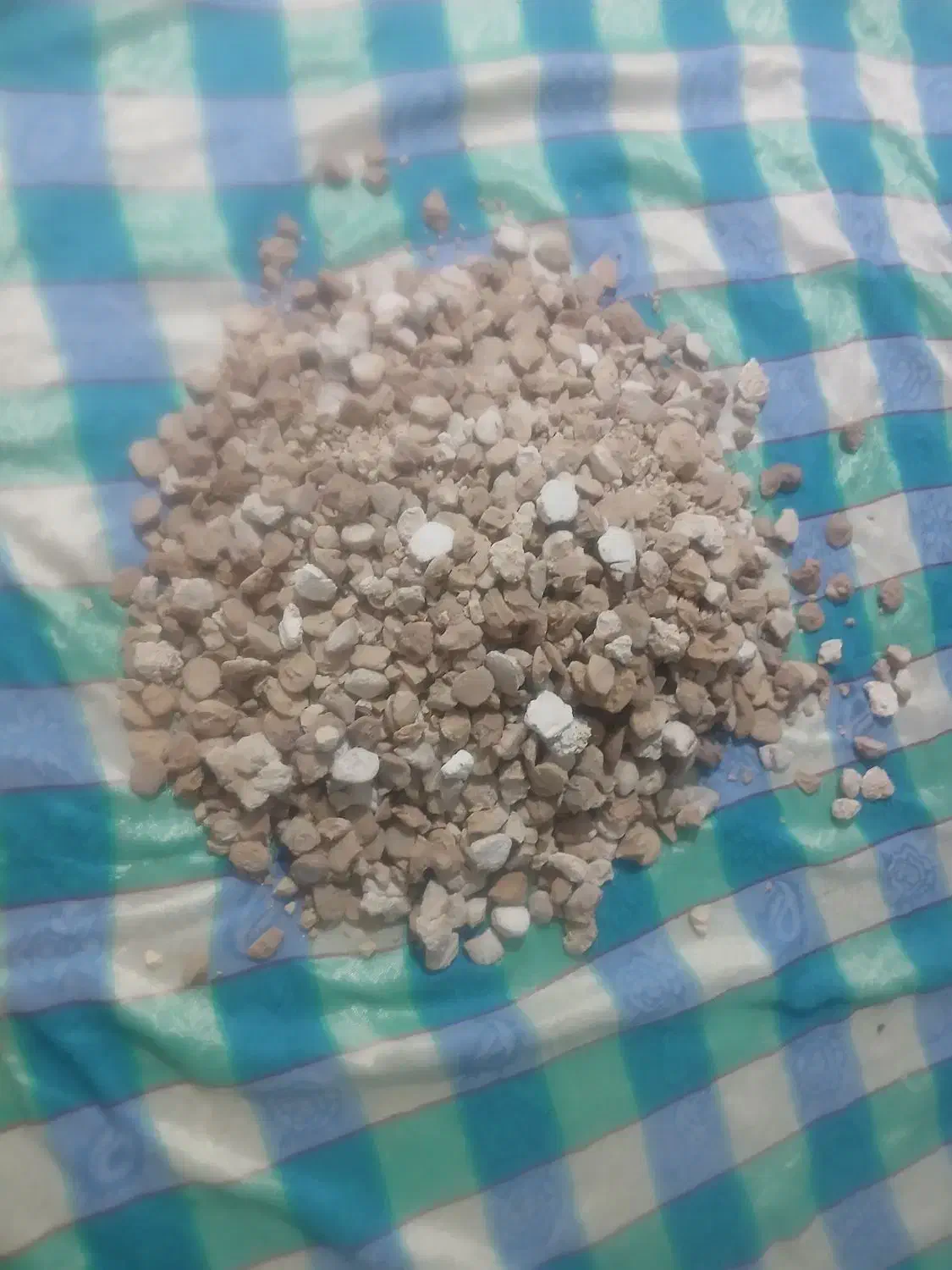 کشک ارگانیک گوسفندی برای فروش|حراج|شهرکرد, |دیوار