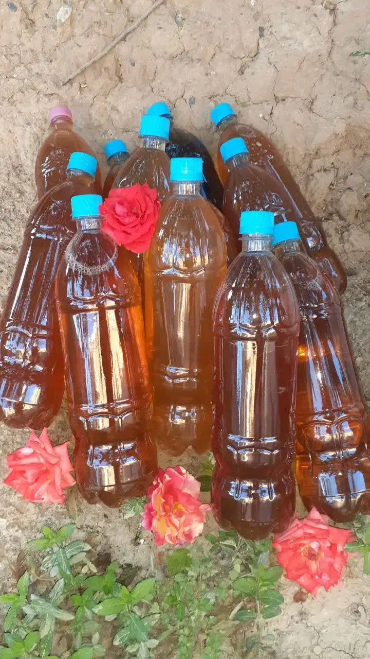 سرکه سیب|خوردنی و آشامیدنی|محلات, |دیوار