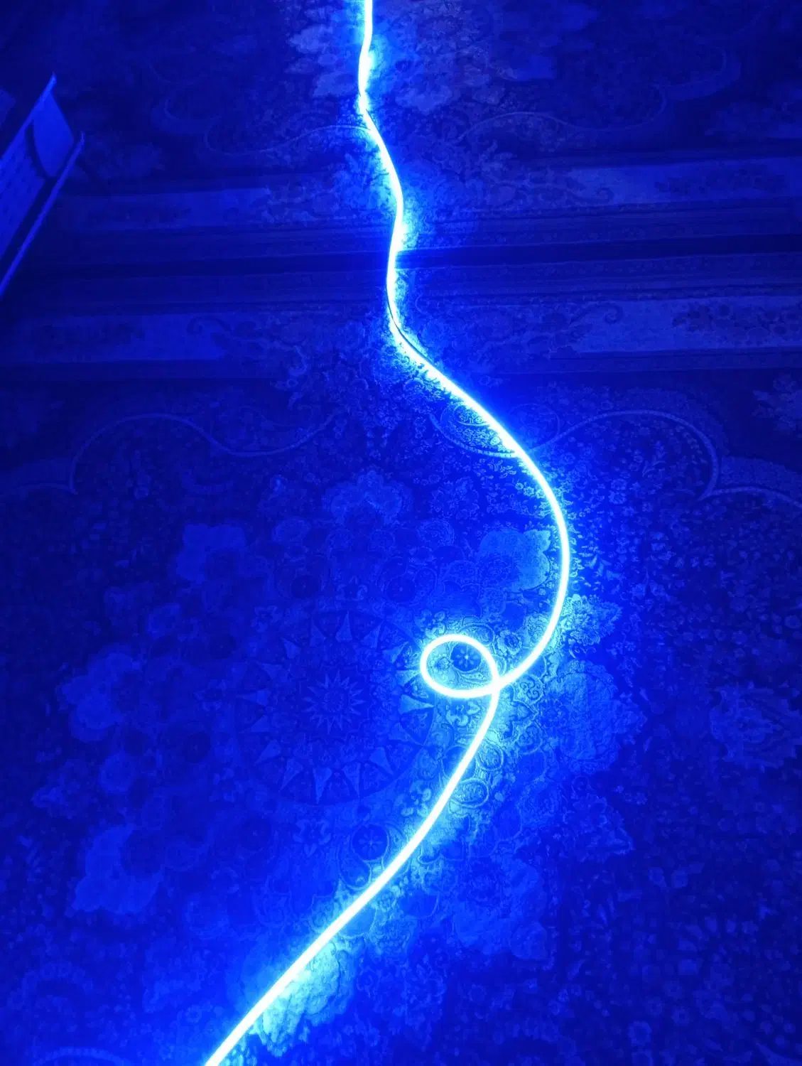 چراغ LED220|ریسه و چراغ تزئینی|قدس, شهر‌قدس|دیوار