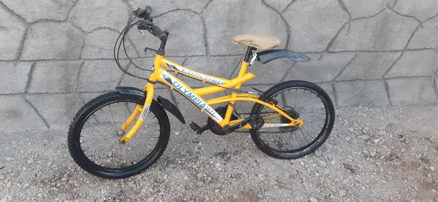 دوچرخه|دوچرخه، اسکیت، اسکوتر|تربت جام, میان جام|دیوار